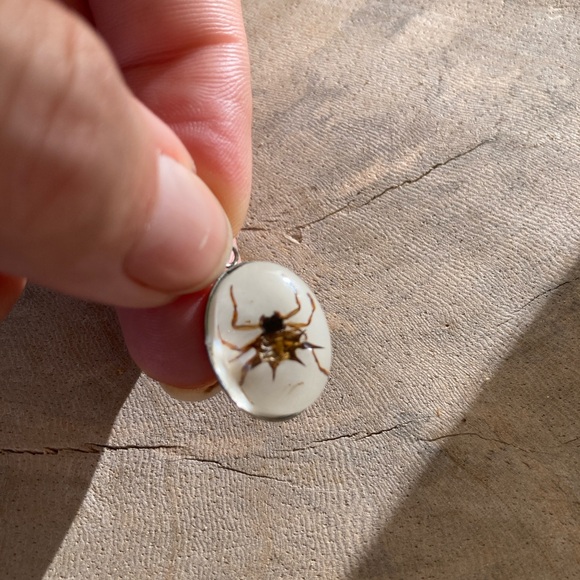 Real Ant Scorpion Beetle Spider Pendant Necklace Taxidermy insect necklace chain - Picture 8 of 11